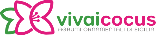 vivai cocus agrumi ornamentali